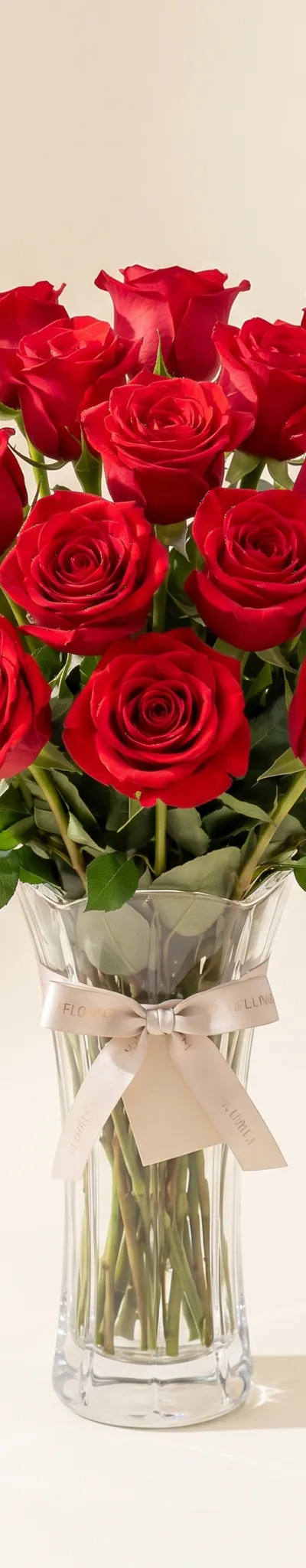 Amor Infinito 18 Rosas