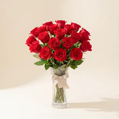Amor Infinito 18 Rosas