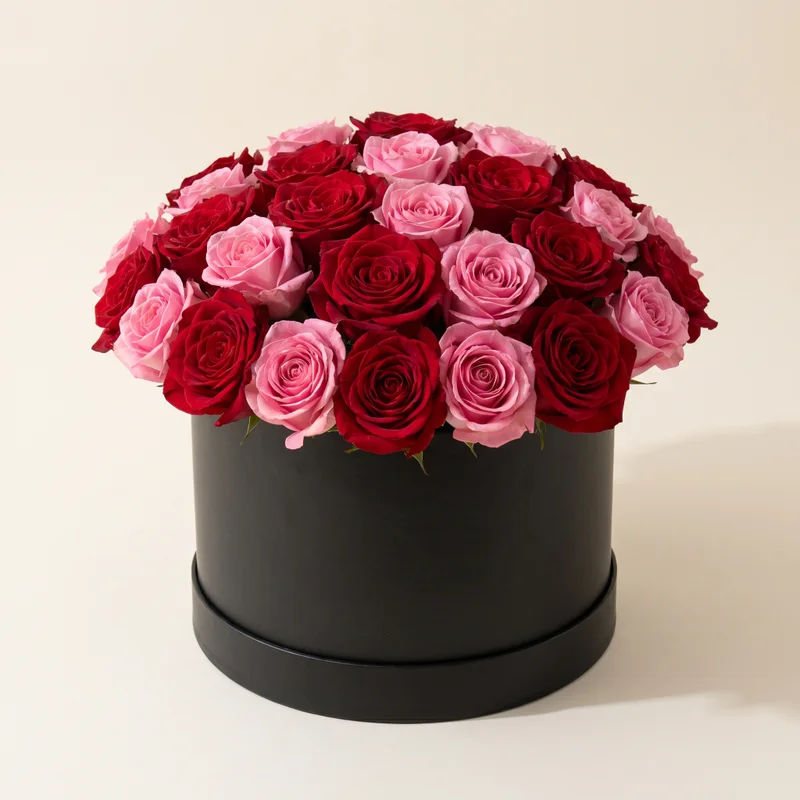 Box Rosas Luxo